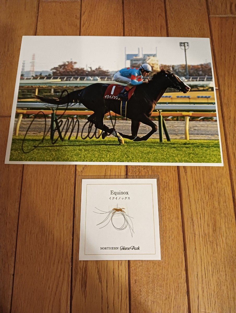 競馬 イクイノックス ルメール騎手 直筆サイン入り写真パネル｜Yahoo