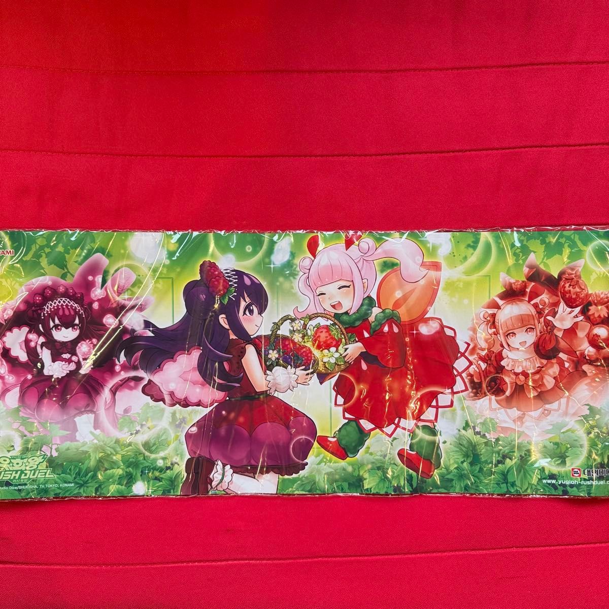 未開封 エクスキューティー・プラウティ プレイマット JUDGE 韓国