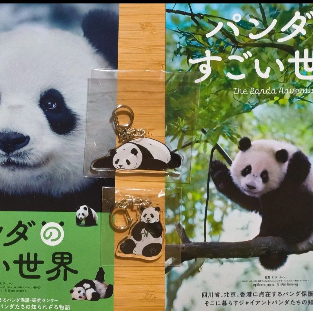 パンダのすごい世界 香香 福宝 和花 青の第一子 入場者特典 入場 特典
