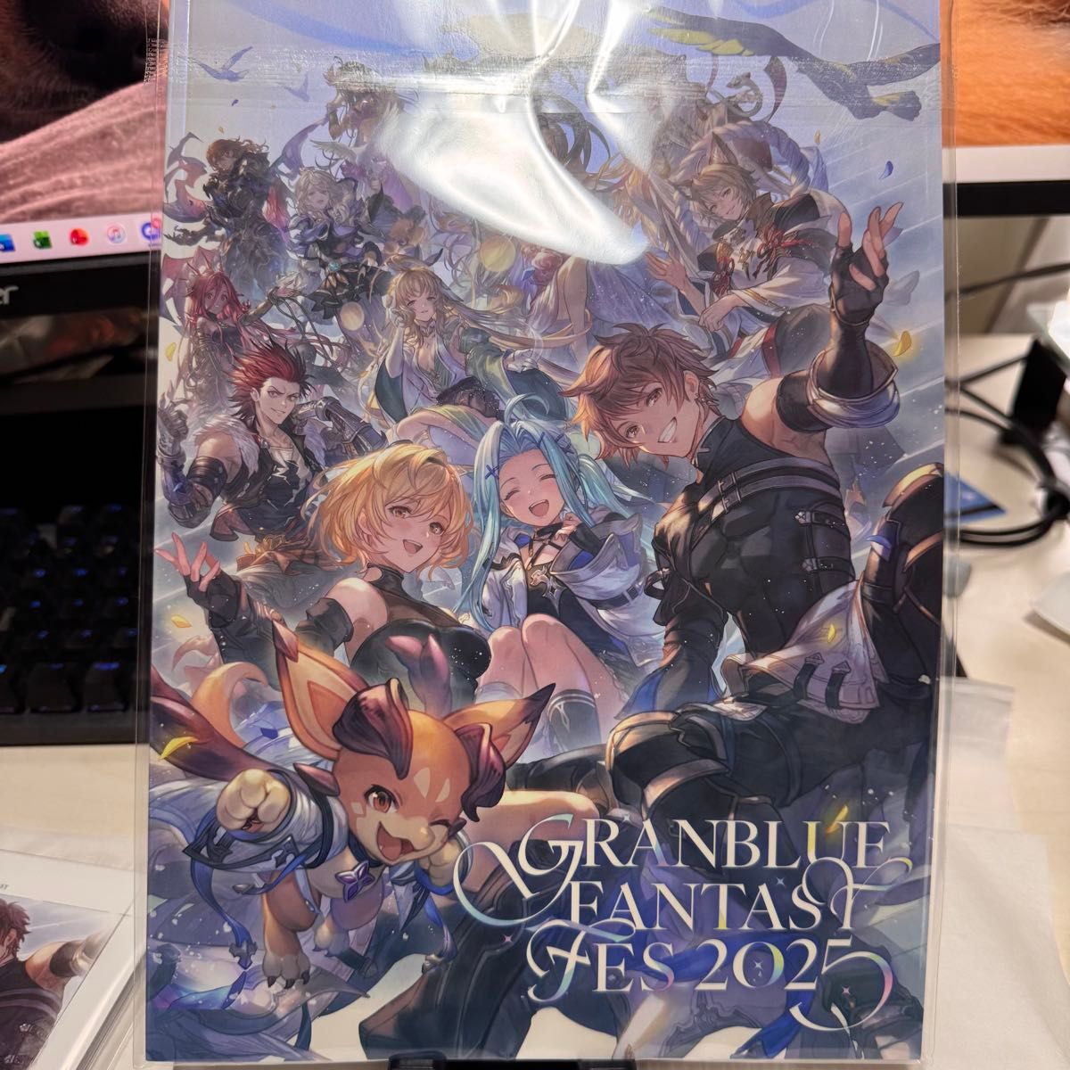 グラブルフェス2025 リアルガチャ6枚 リーフレット 未使用品