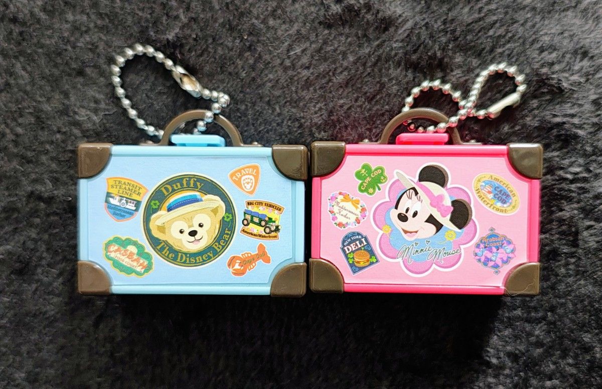 ディズニー スプリングヴォヤッジ ダッフィー シェリーメイ カメラ