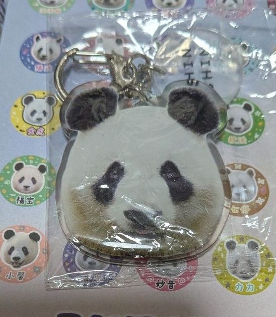 パンダのすごい世界 入場者特典 チェキ風カード 青の第一子 1枚｜Yahoo