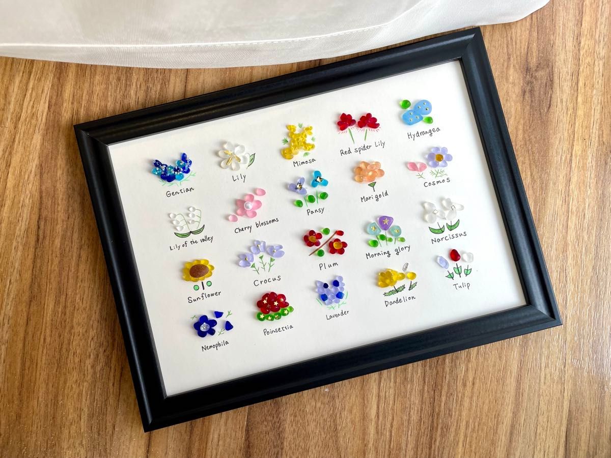 シーグラスアート No122 図鑑 海の生き物 6×5 置物 欧米 A5 クラゲ