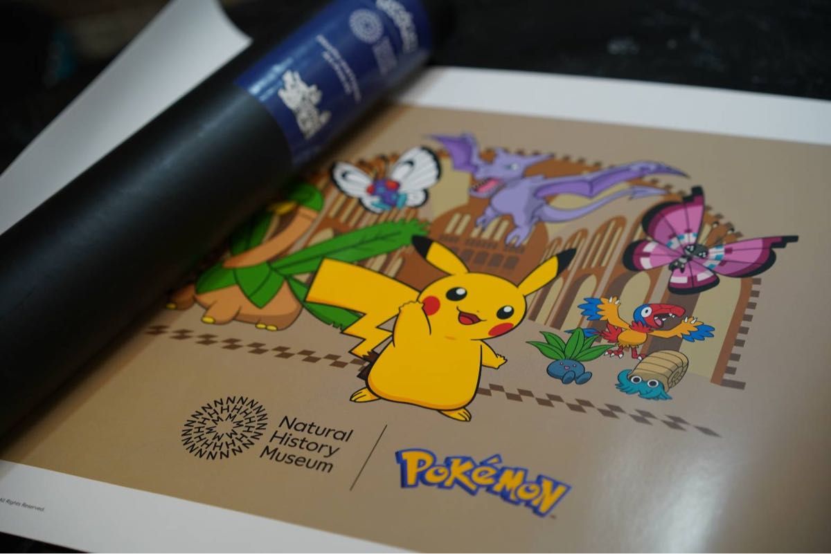 ポケモン ロンドン自然史博物館 イーブイ ピンバッジ セット｜Yahoo