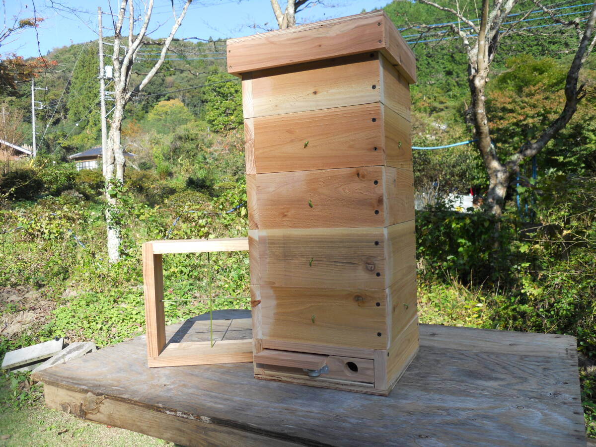 2026年最新】日本ミツバチの飼育ケースが充実 - Yahoo!オークション