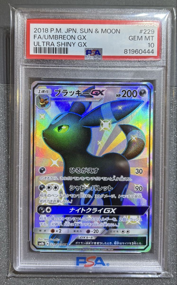 Yahoo!オークション -「psa10 ブラッキーgx」の落札相場・落札価格