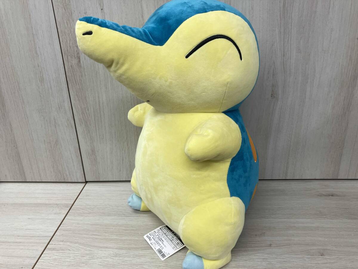 Yahoo!オークション -「ヒノアラシ 等身大」(キャラクター