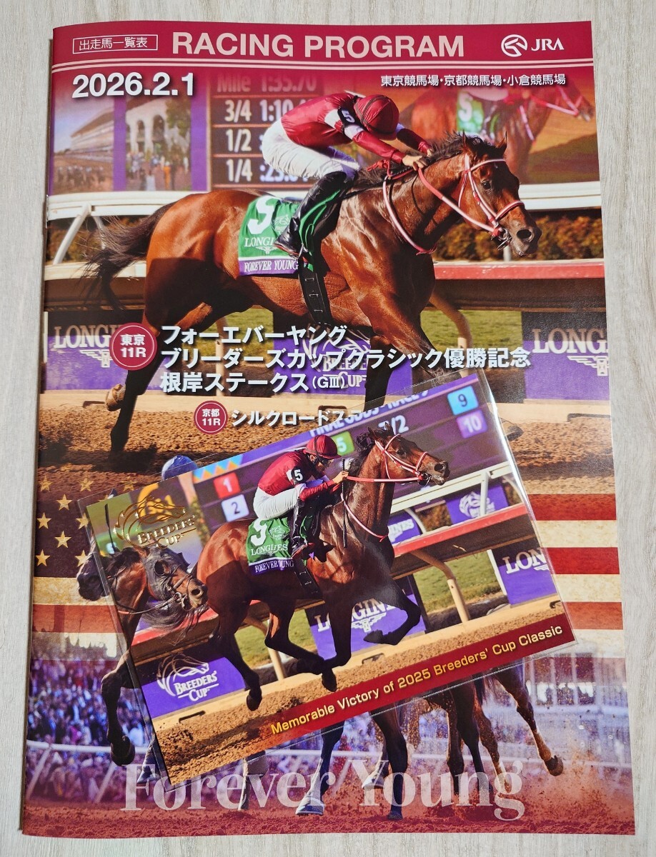 2026年最新】Yahoo!オークション -forever young フォーエバーヤングの