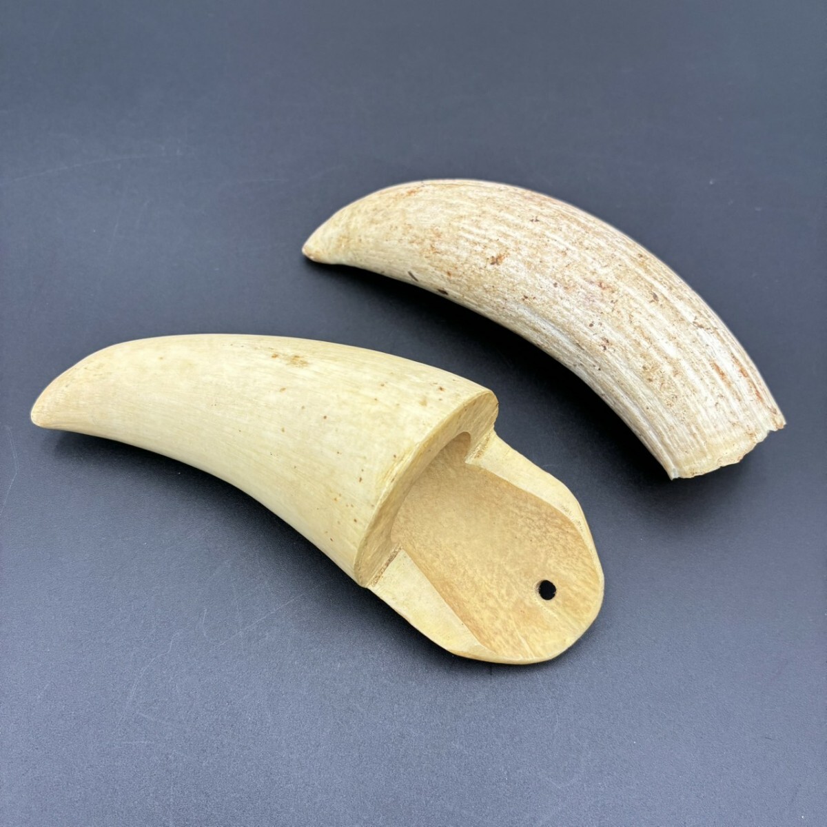 Yahoo!オークション -「マッコウクジラ牙」の落札相場・落札価格