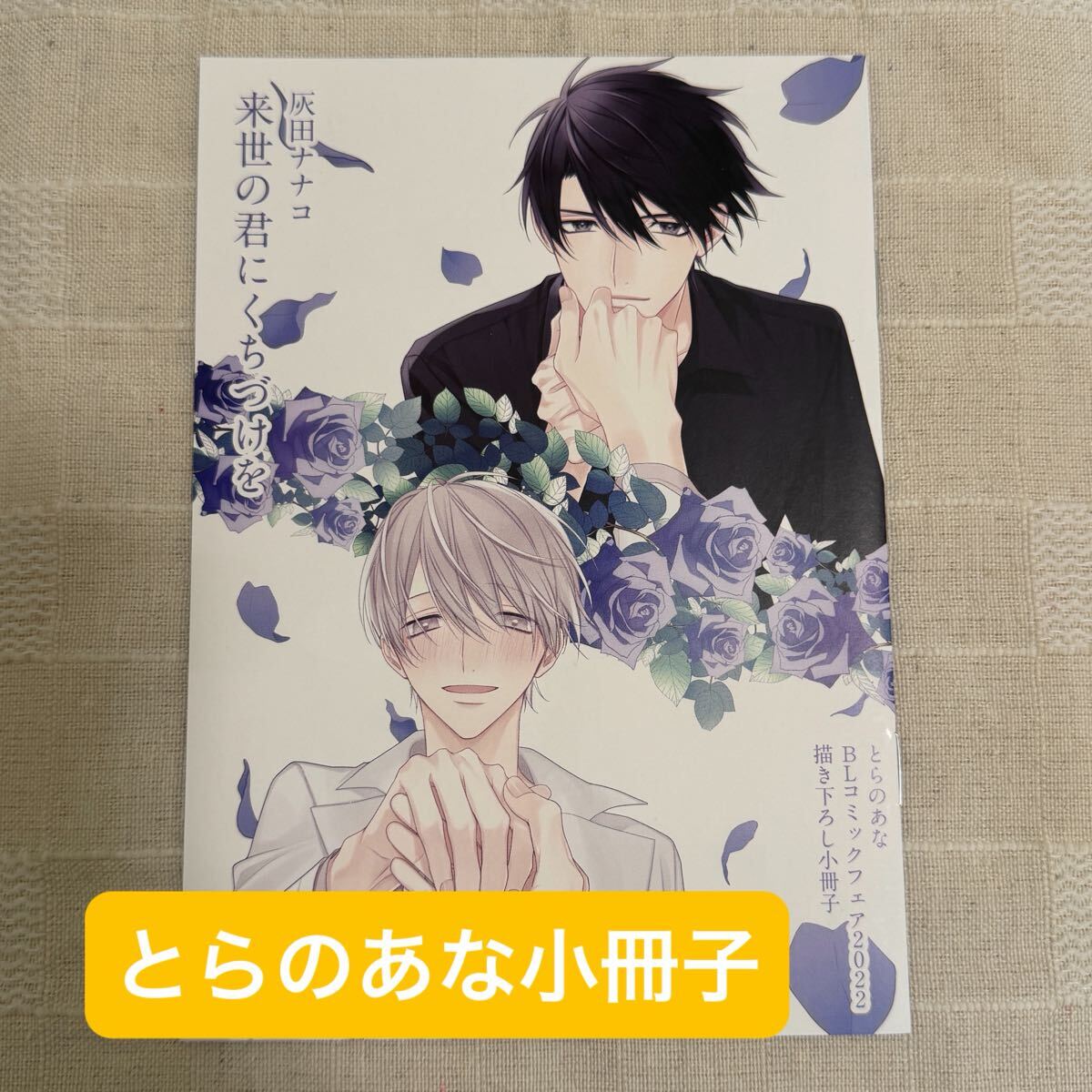Yahoo!オークション -「blコミック」(ボーイズラブ) (漫画、コミック