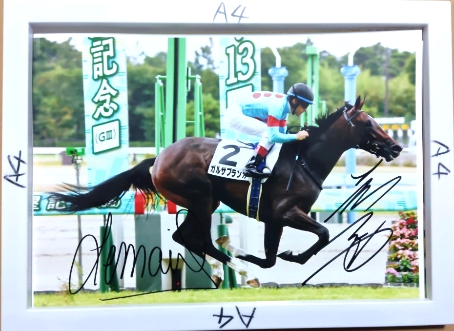 Yahoo!オークション -「ルメールサイン」の落札相場・落札価格