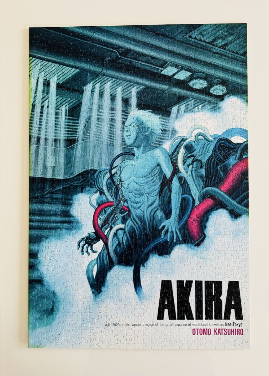 Yahoo!オークション -「(金田)akira」の落札相場・落札価格