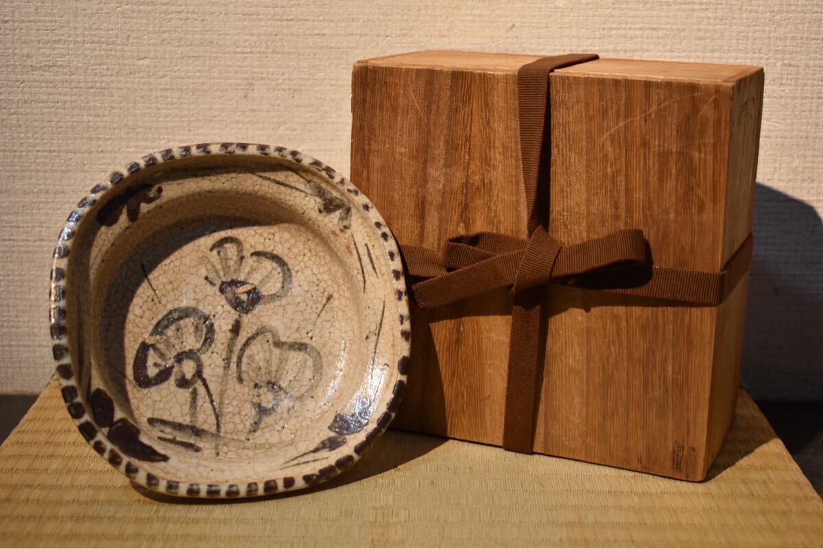 2026年最新】Yahoo!オークション -志野 鉢の中古品・新品・未使用品一覧