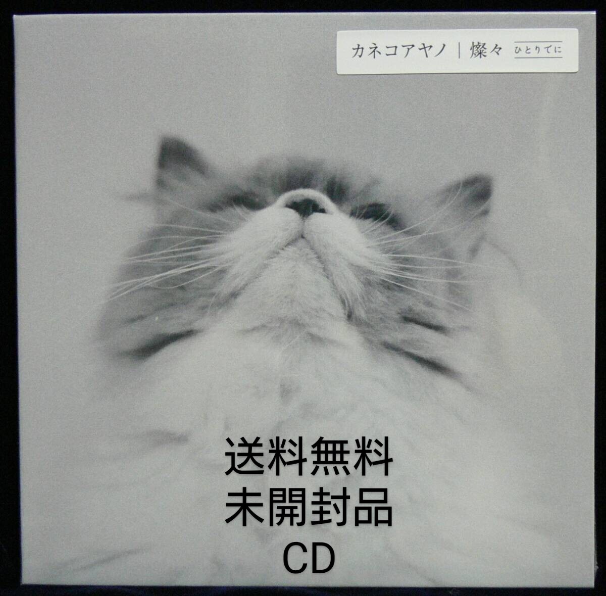 2026年最新】Yahoo!オークション -カネコアヤノの中古品・新品・未使用