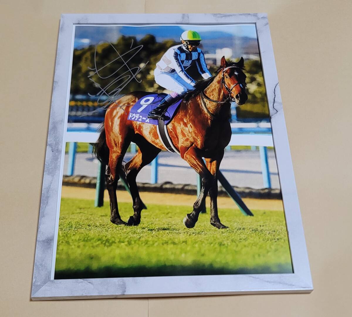 Yahoo!オークション -「武豊 サイン」の落札相場・落札価格