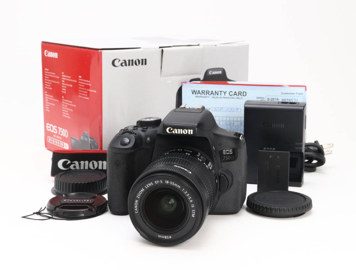 2026年最新】Yahoo!オークション -eos kiss x8i レンズキットの中古品