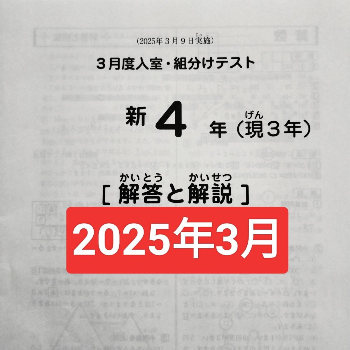 2026年最新】Yahoo!オークション -サピックス 入室テストの中古品