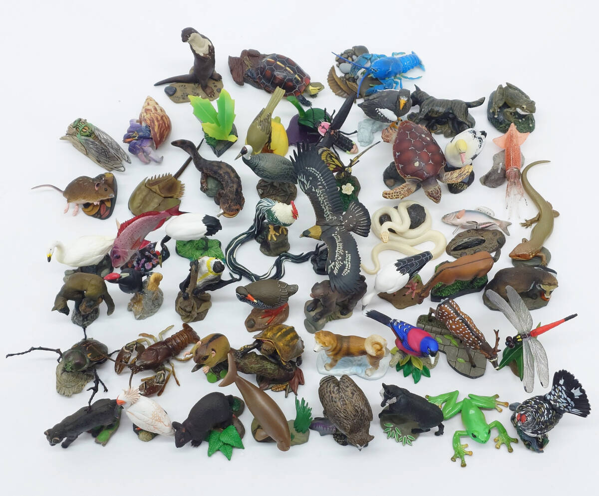 Yahoo!オークション -「週刊日本の天然記念物 動物編」の落札相場