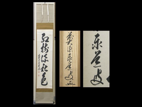 2026年最新】Yahoo!オークション -足立泰道 掛け軸の中古品・新品・未