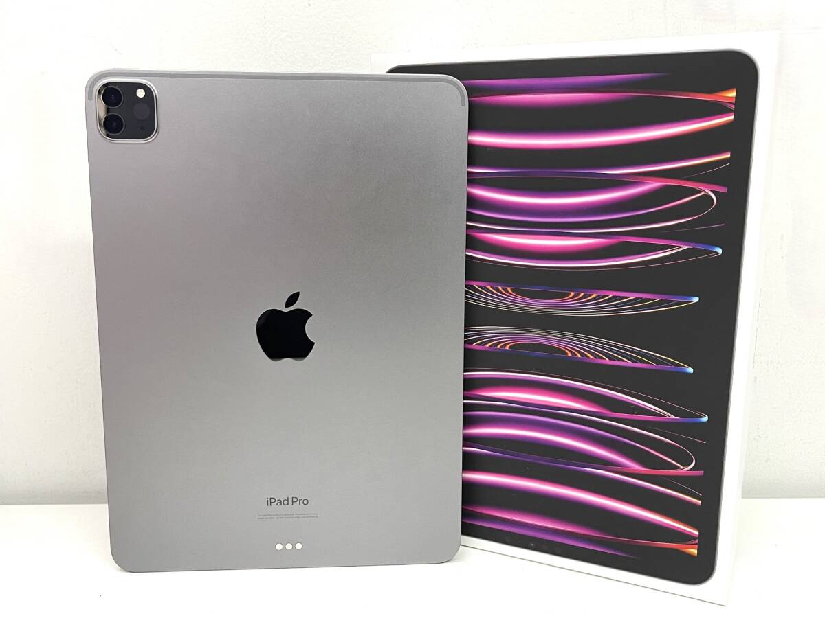 Apple iPad Pro 11インチ 第4世代 Wi-Fi 128GB 2022年秋モデル MNXD3J