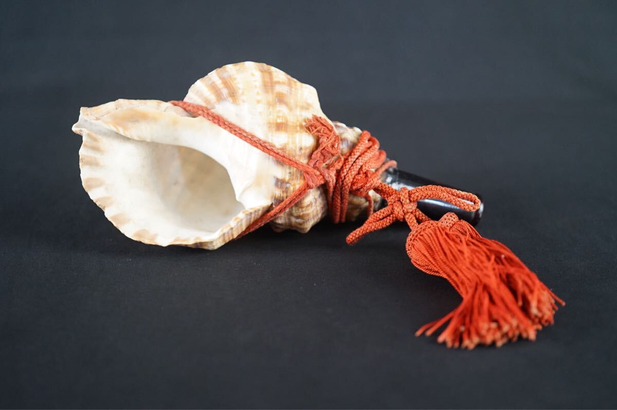 Yahoo!オークション -「山伏 法螺貝」の落札相場・落札価格