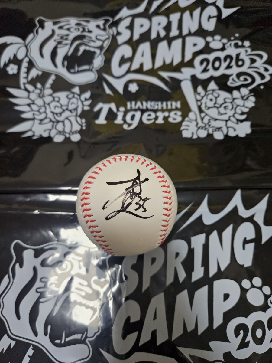 2026年最新】Yahoo!オークション -阪神宜野座キャンプの中古品・新品
