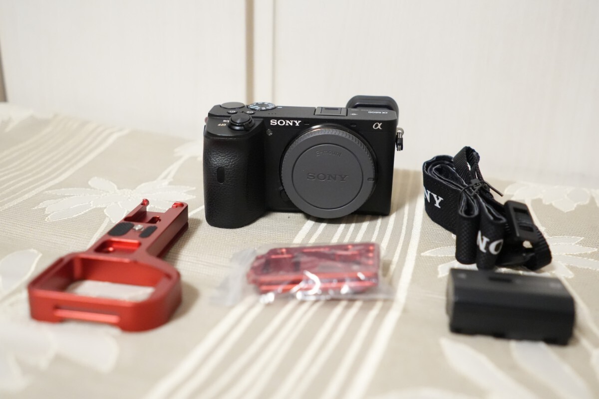 Yahoo!オークション -「sony α6600」の落札相場・落札価格