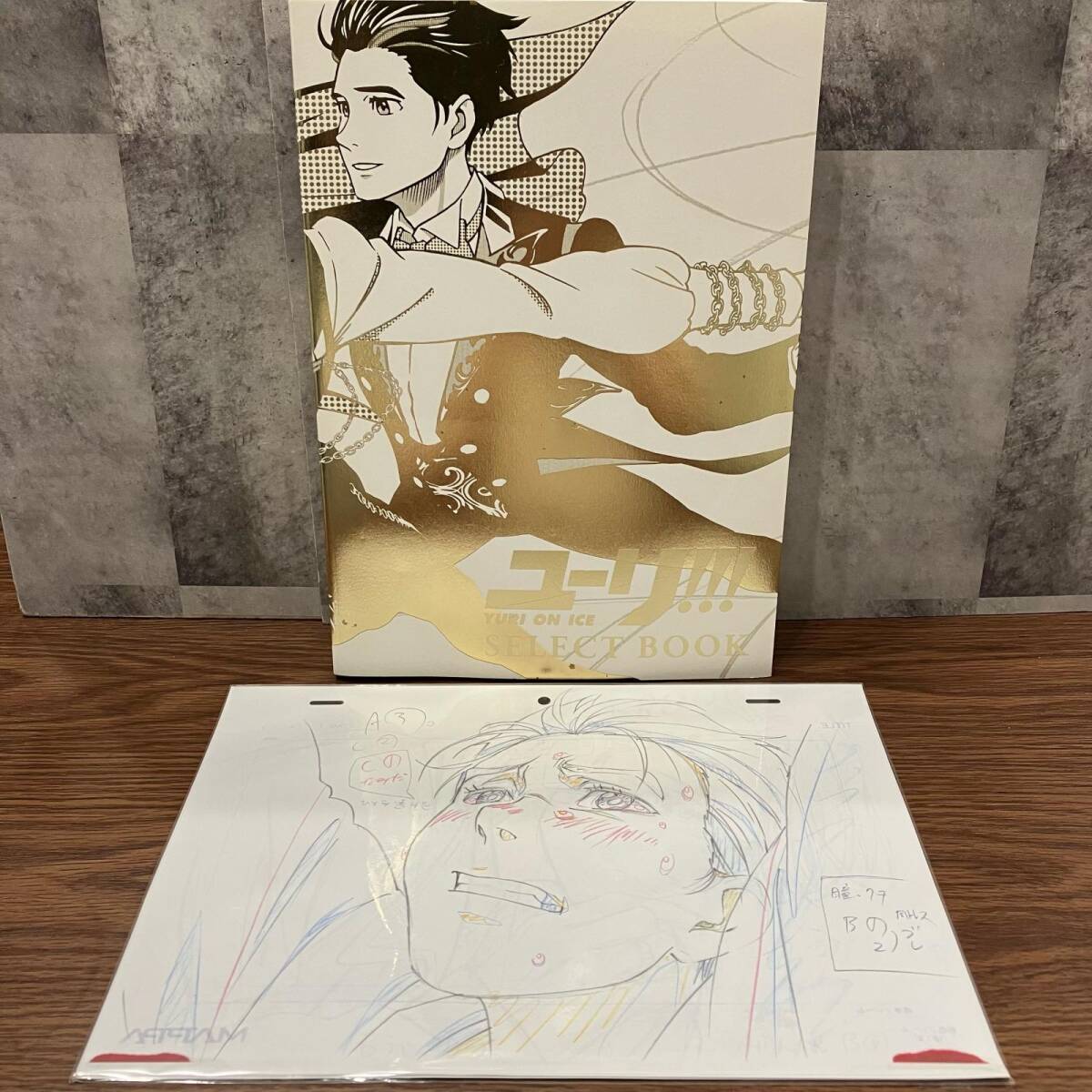 Yahoo!オークション -「ユーリ!!! on ice select book」(原画、設定