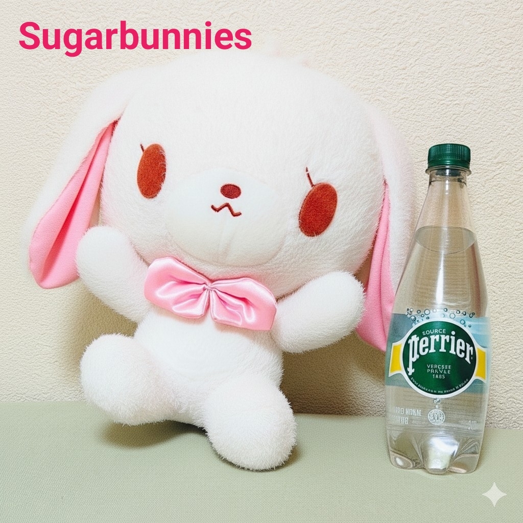 2026年最新】Yahoo!オークション -シュガーバニーズの中古品・新品・未