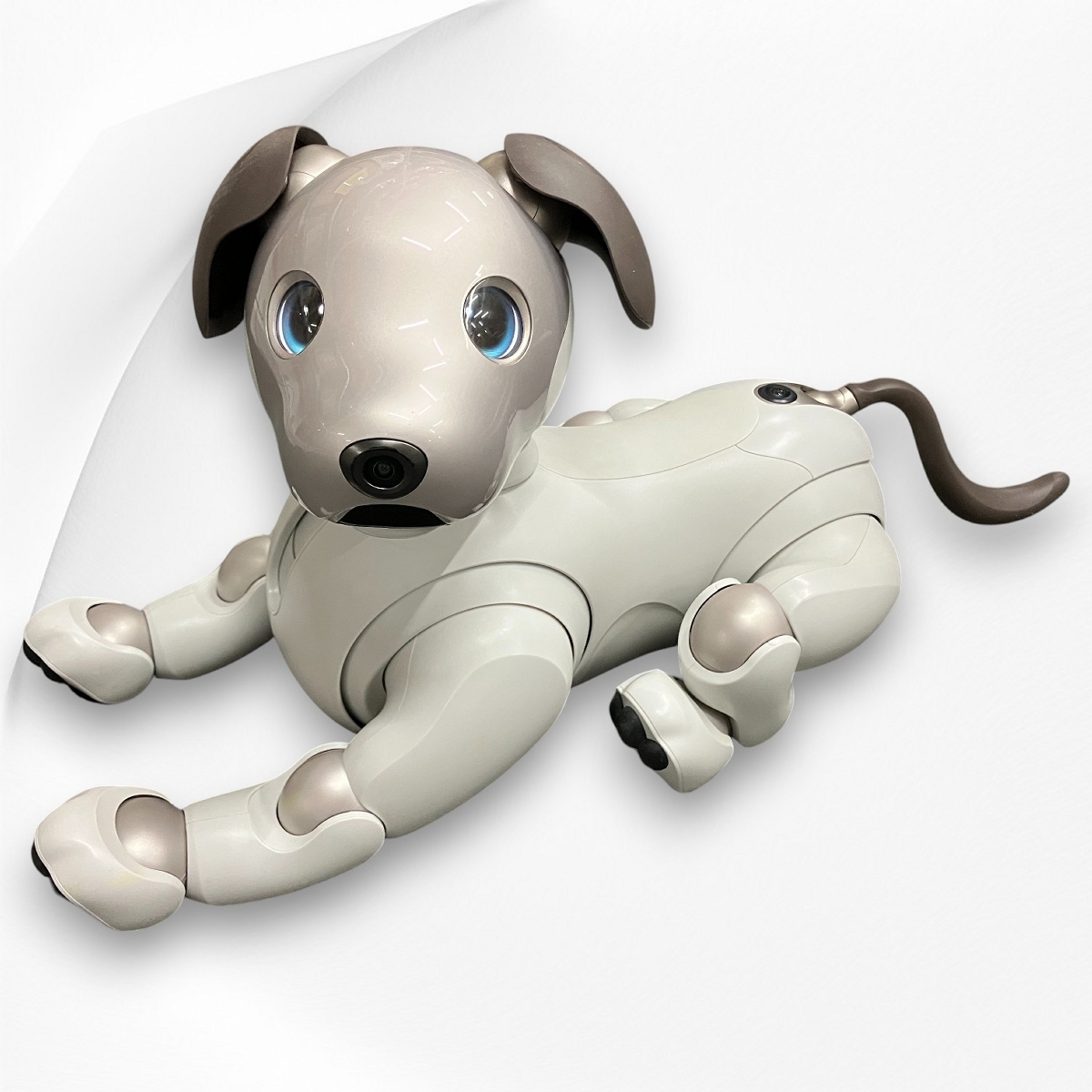 Yahoo!オークション -AIBO(バーチャルペット)の落札相場・落札価格