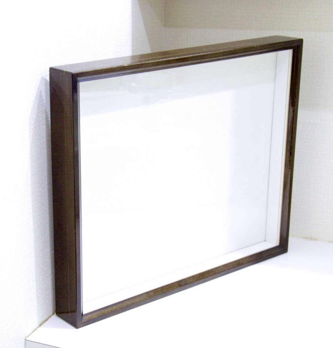 2026年最新】Yahoo!オークション -ドイツ標本箱の中古品・新品・未使用