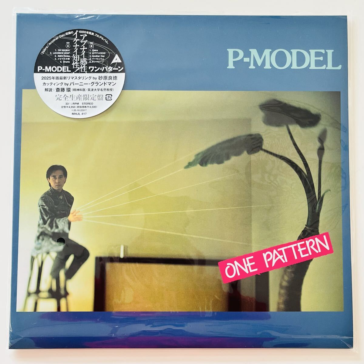 Yahoo!オークション -「p-model one pattern」の落札相場・落札価格