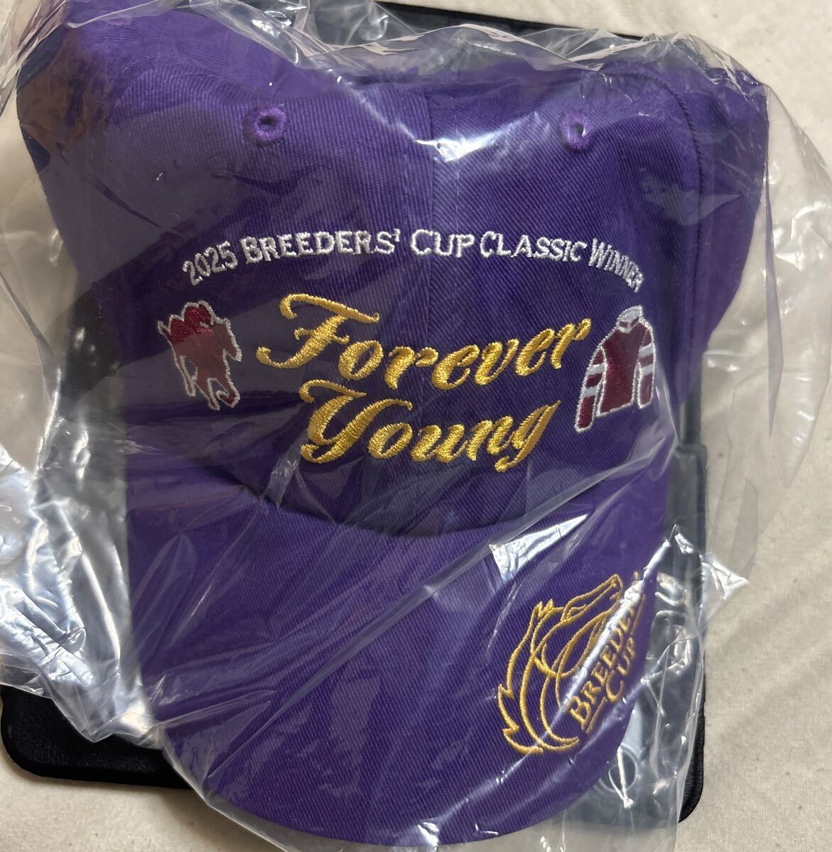 Yahoo!オークション -「オリジナルキャップ」(競馬) の落札相場・落札価格