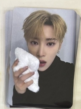 ALPHA DRIVE ONE ALD1 デビューショーケース ショケ トレカ アルノ