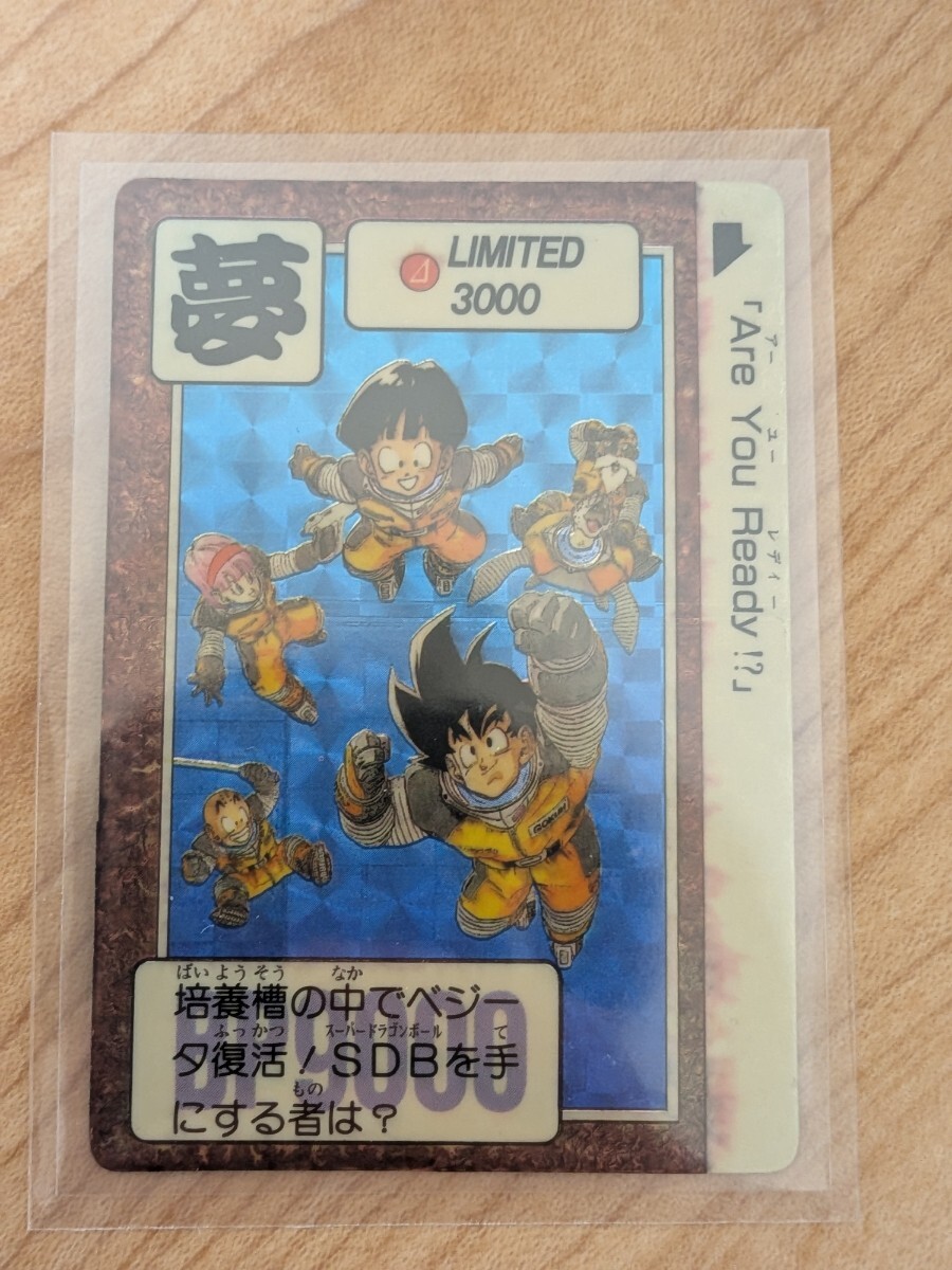 Yahoo!オークション - ドラゴンボールZ 本弾 17弾 カードダス 台紙