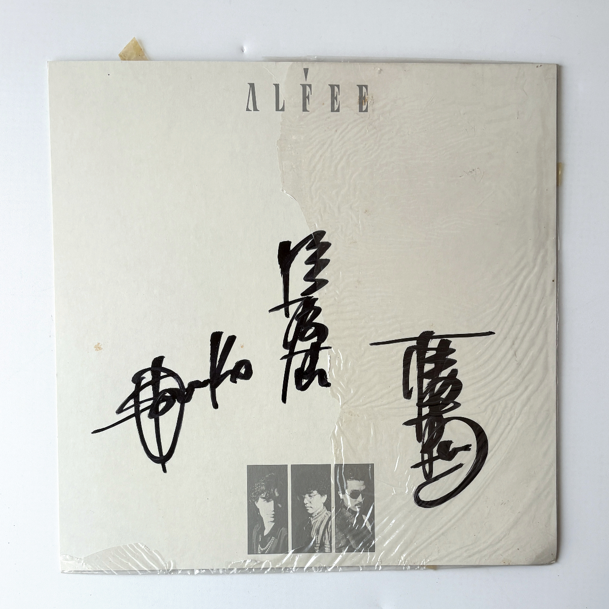 2026年最新】Yahoo!オークション -アルフィー the alfee サインの中古