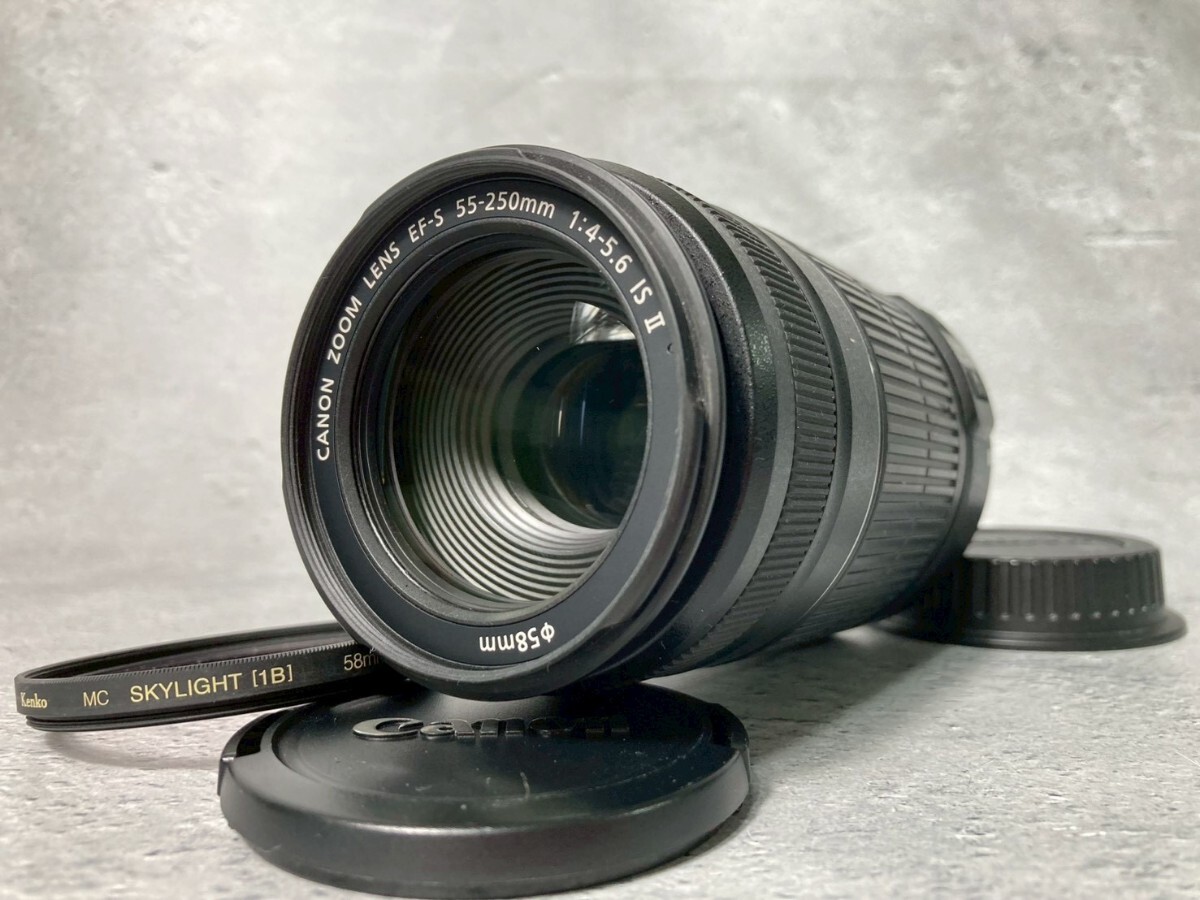 Yahoo!オークション -「ef-s55-250mm f4-5.6 is ii」の落札相場・落札価格