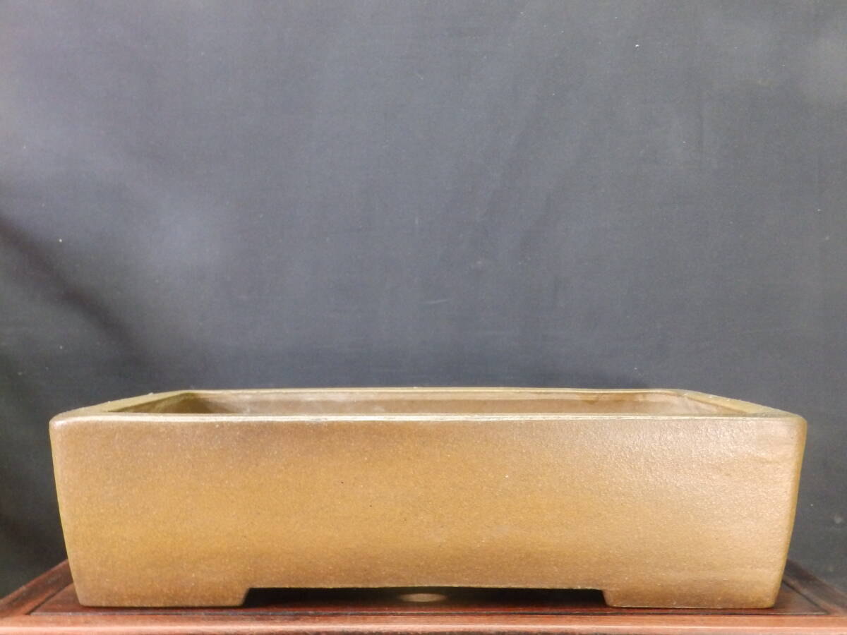 Yahoo!オークション -「真山」(盆栽) の落札相場・落札価格