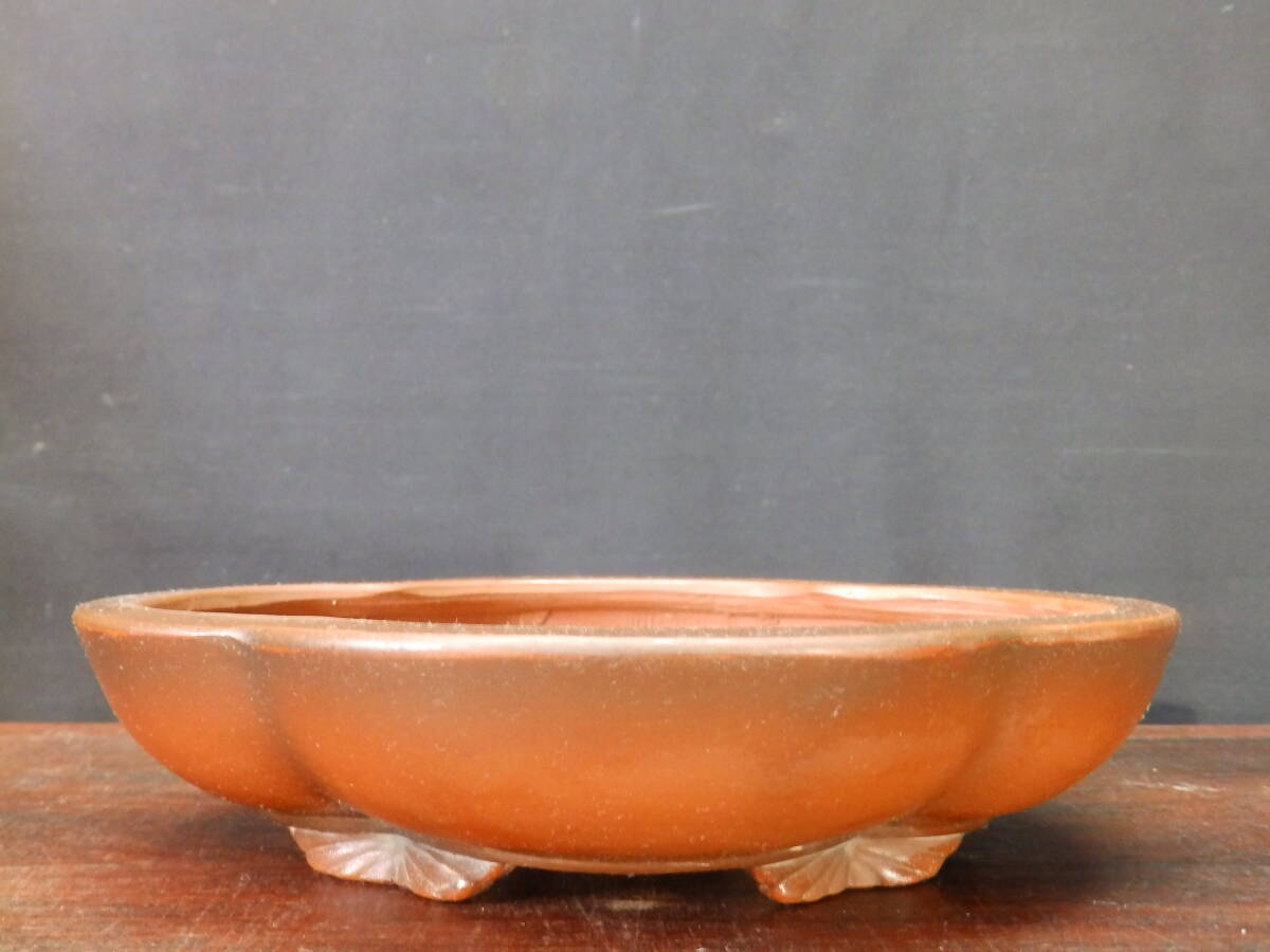 Yahoo!オークション -「美芸 鉢」の落札相場・落札価格