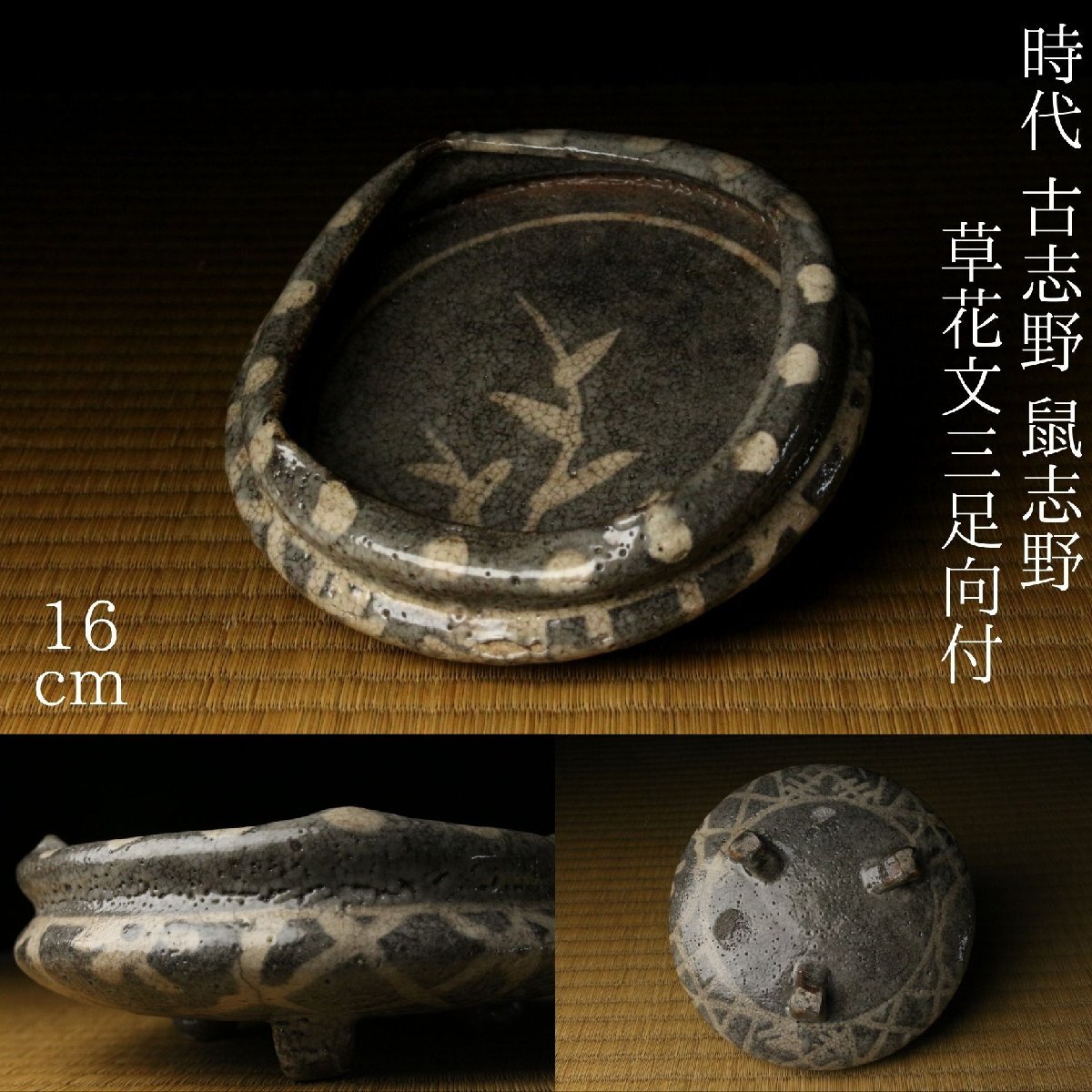 2026年最新】Yahoo!オークション -志野 鉢の中古品・新品・未使用品一覧