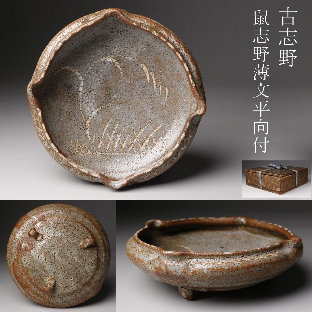 2026年最新】Yahoo!オークション -志野 鉢の中古品・新品・未使用品一覧