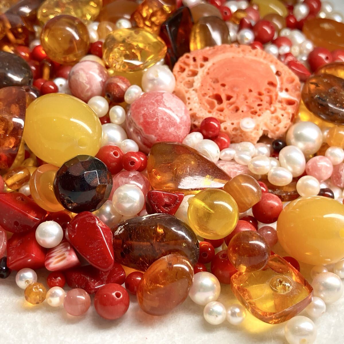 Yahoo!オークション -「本珊瑚まとめ」の落札相場・落札価格