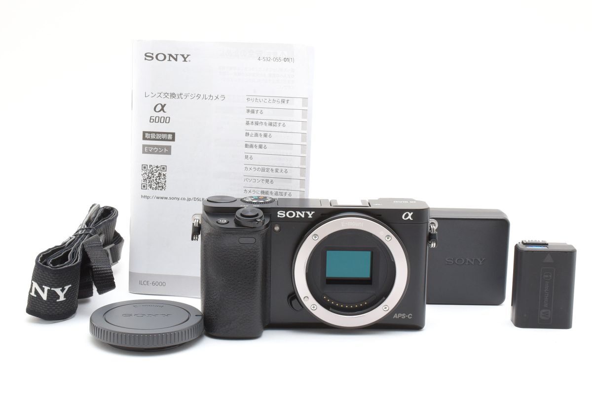 2026年最新】Yahoo!オークション -α6000の中古品・新品・未使用品一覧
