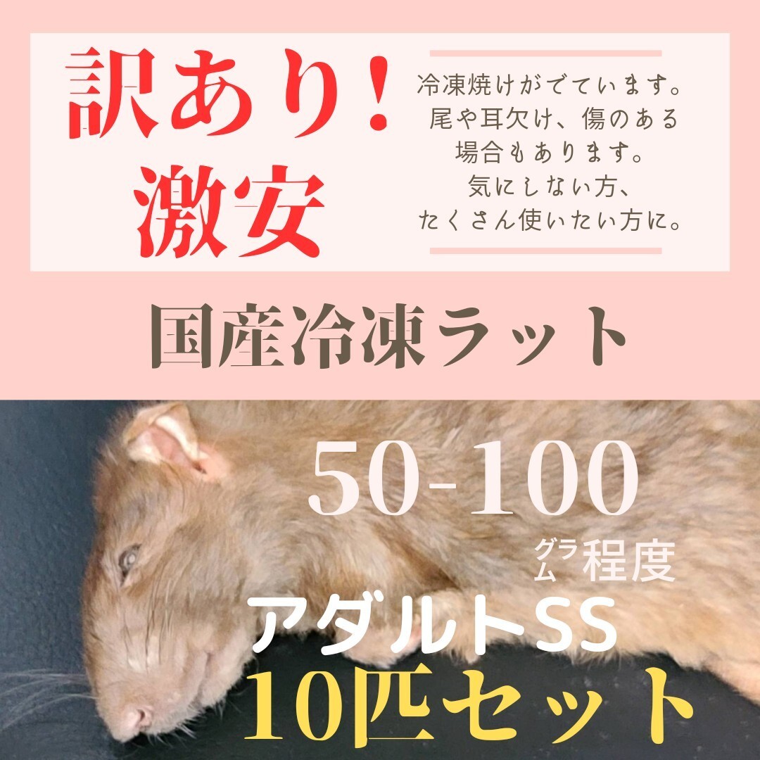 2026年最新】冷凍ラットの商品一覧｜爬虫類・猛禽類に適したエサ