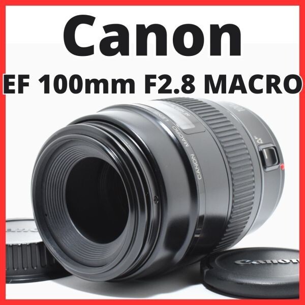 2026年最新】Yahoo!オークション -canon macro lens ef 100mm f2.8の
