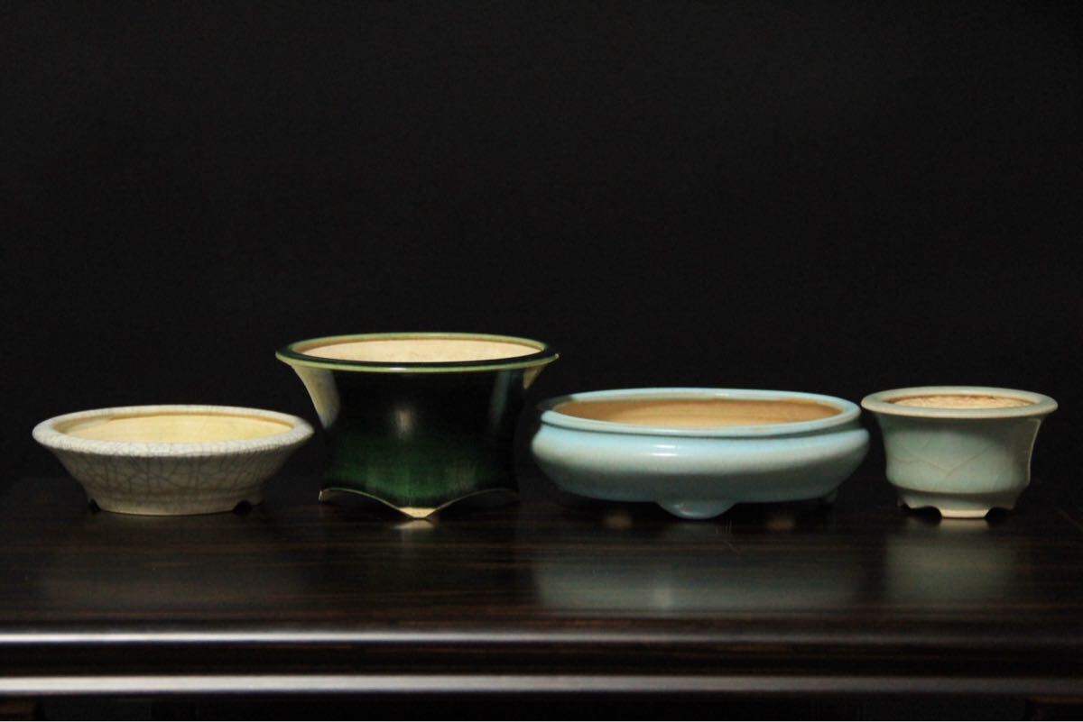 Yahoo!オークション -「盆栽鉢 堀江美功」の落札相場・落札価格