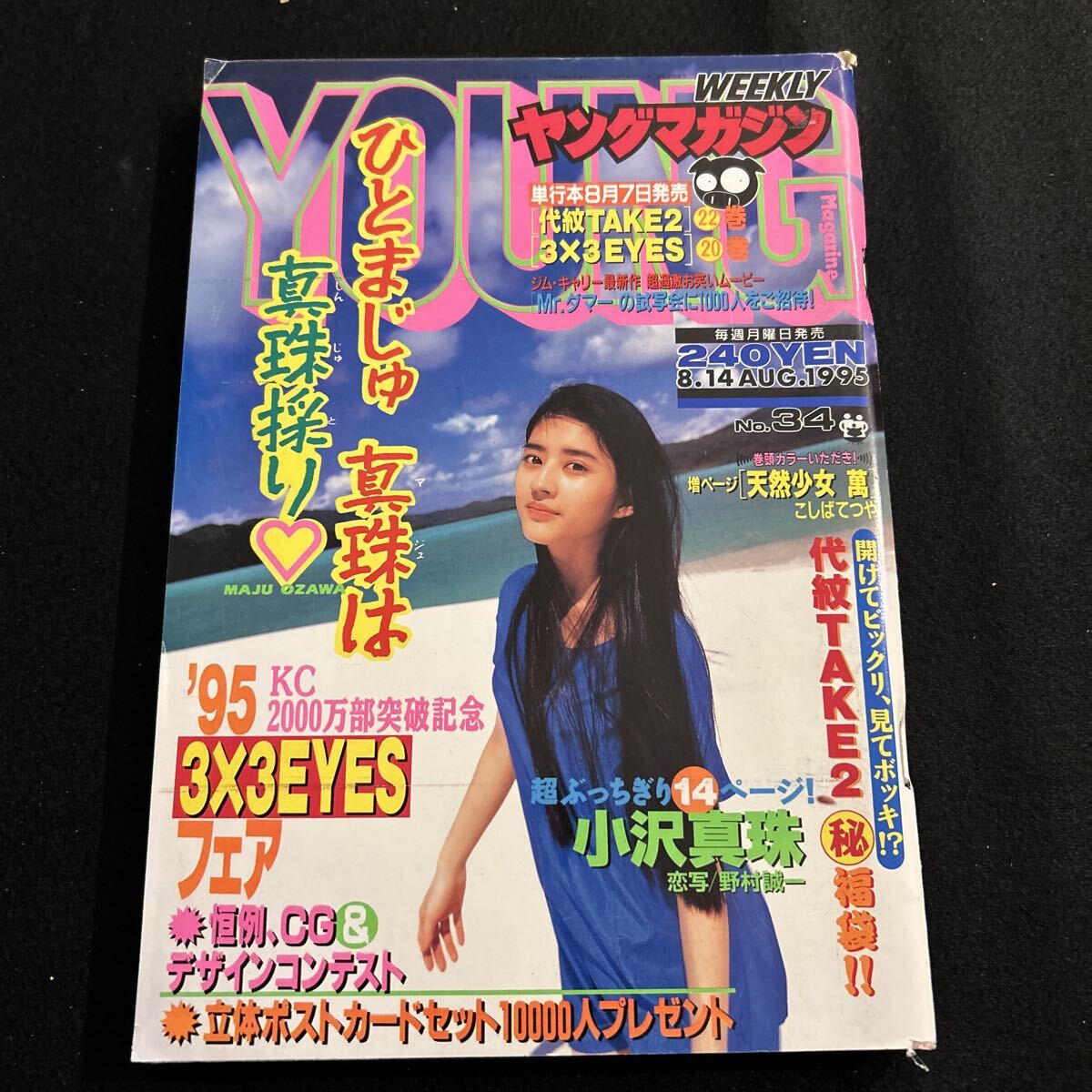 2026年最新】Yahoo!オークション -ヤングマガジン 1995(雑誌)の中古品
