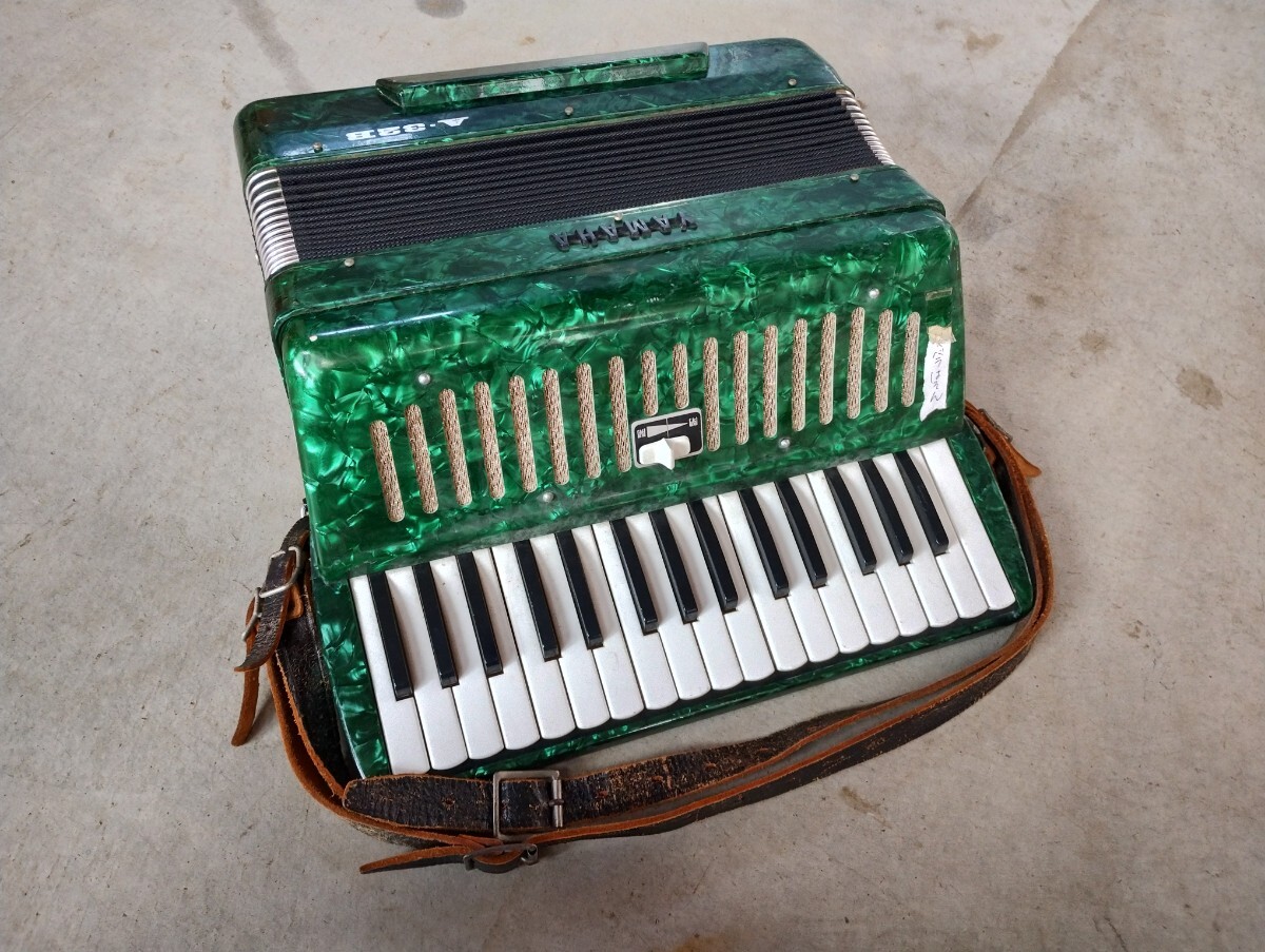 Yahoo!オークション -「(グリーン 緑)」(アコーディオン) (鍵盤楽器)の