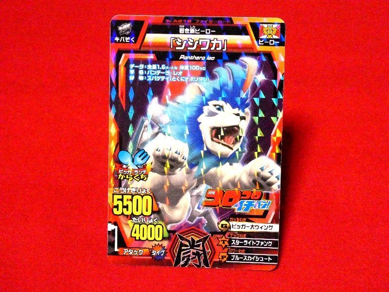 安いアニマルカイザー カイザーシシワカの通販商品を比較