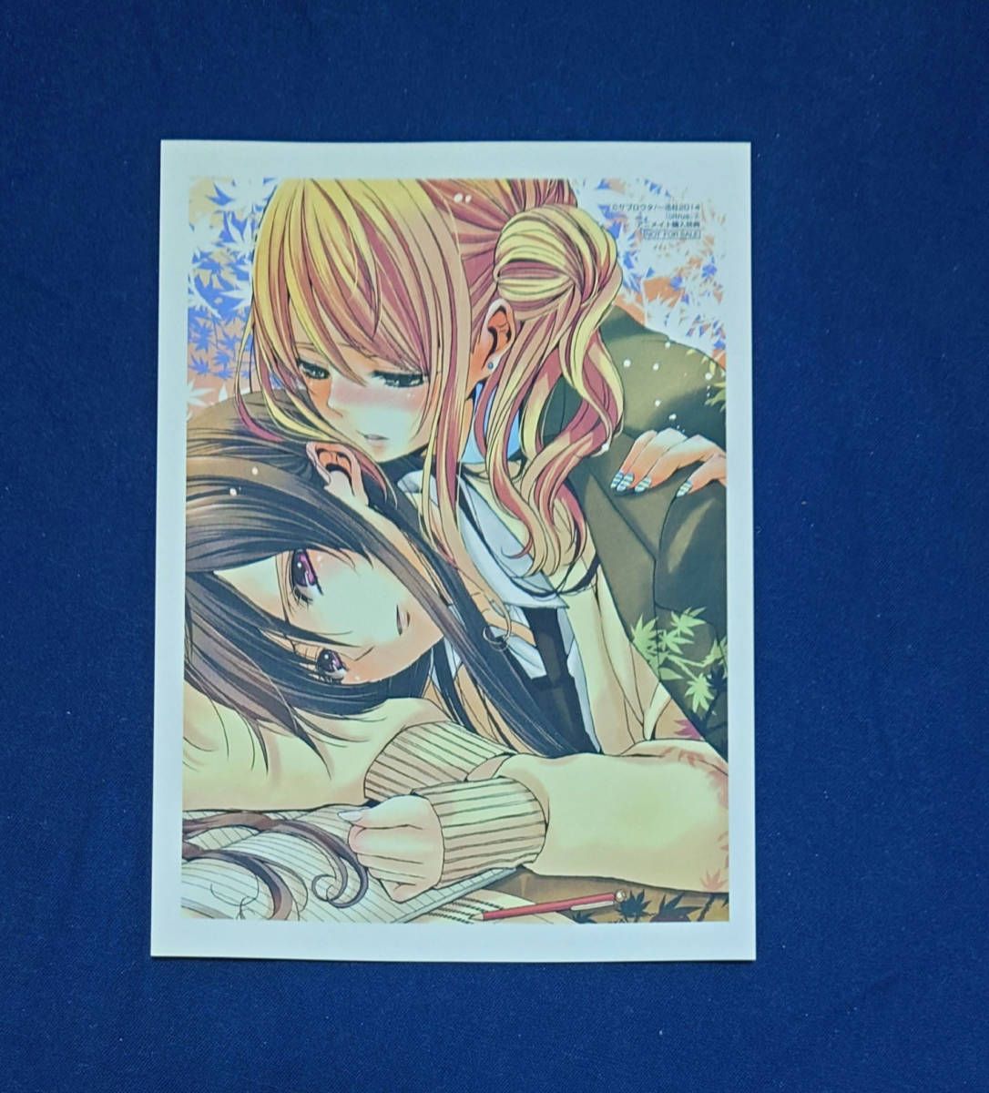 2026年最新】Yahoo!オークション -citrus 特典(その他)の中古品・新品